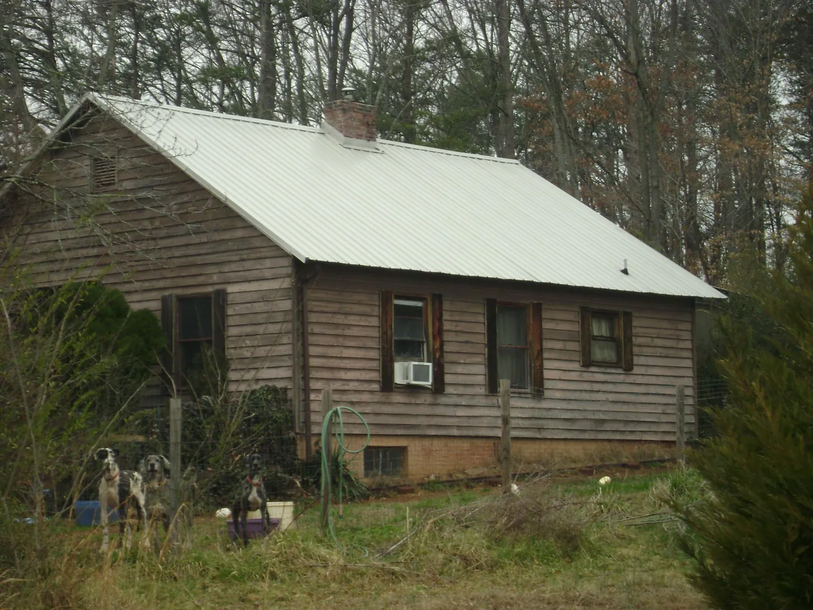 White metal roof on an old wood sided farmhouse, from a Asphalt Shingle Roof Repair job in Maupin